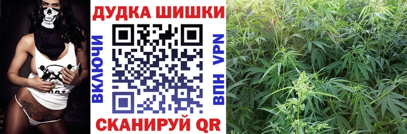 Бошки Шишки план  гидра ссылка  даркнет формула  Усть-Джегута 